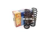 Paire Ressorts Arrière Progressif TERRAIN TAMER +40 mm +300 Kg Toyota HDJ 100